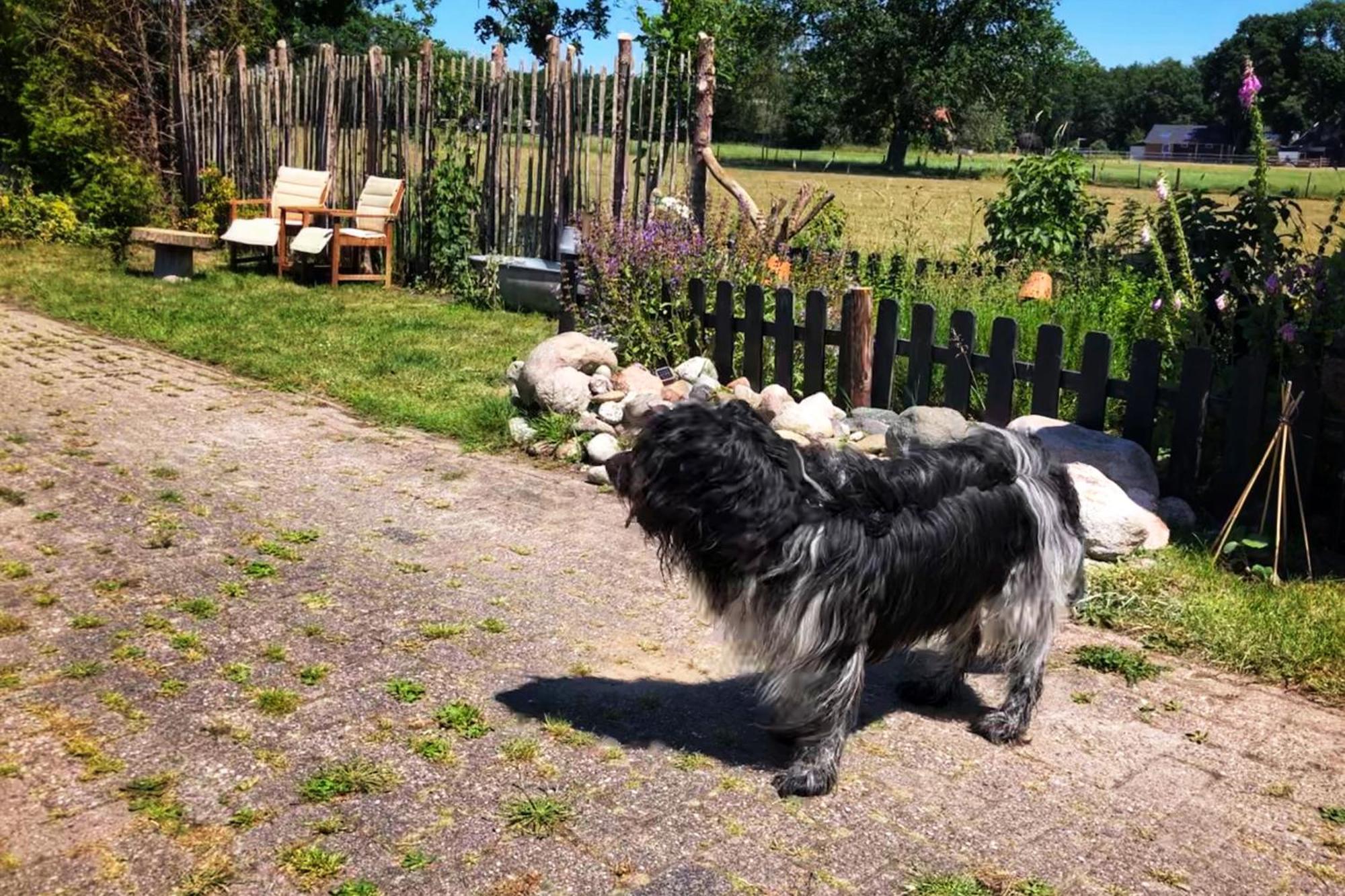 B&B Zandhuizen Luaran gambar