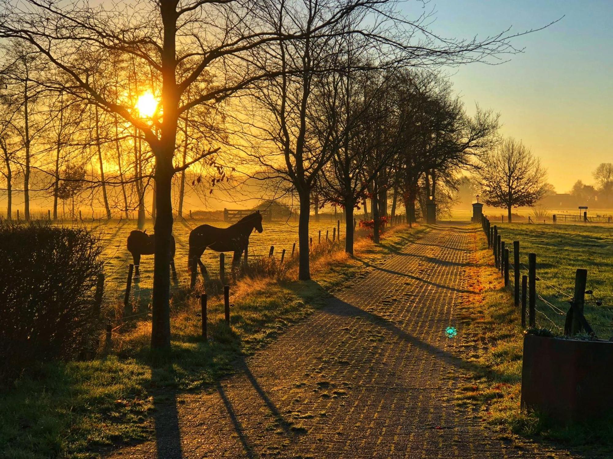 B&B Zandhuizen Luaran gambar