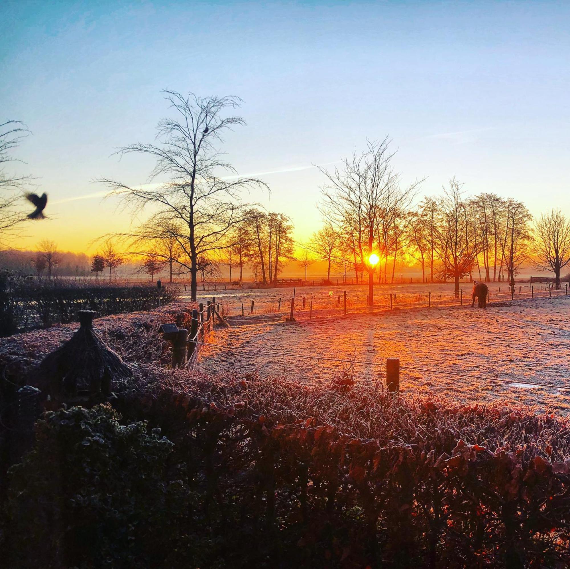B&B Zandhuizen Luaran gambar